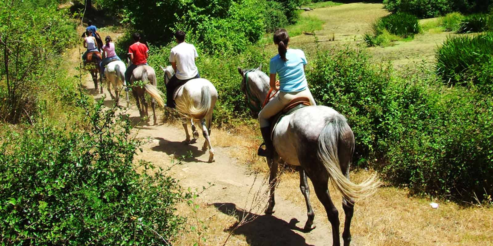 Riding-near-the-Quality-Hotel-in-Youghal